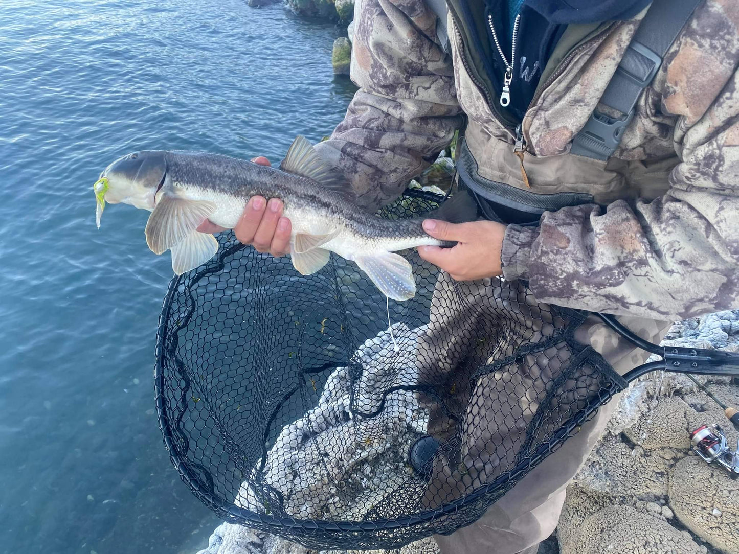 Pyramid lake special